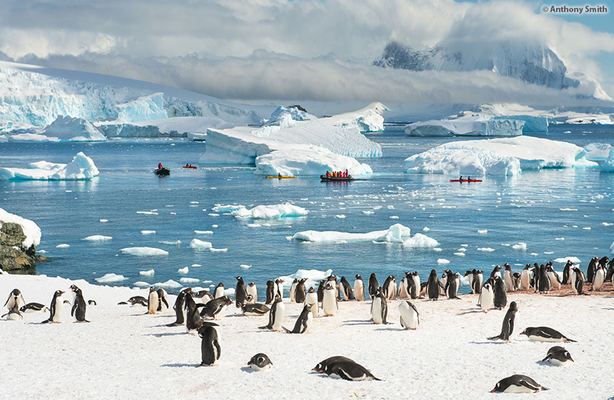 Antarctic_2020_11_Abenteuer und Wildtiere